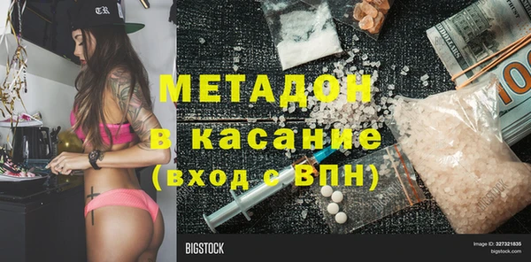 сатива Каменка