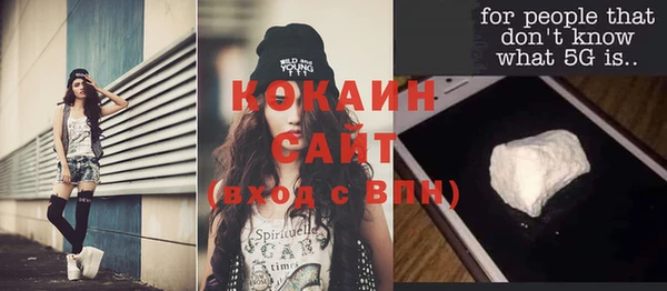 сатива Каменка