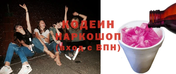 сатива Каменка