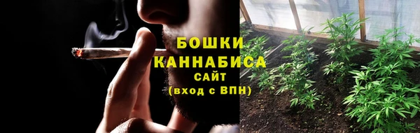 сатива Каменка