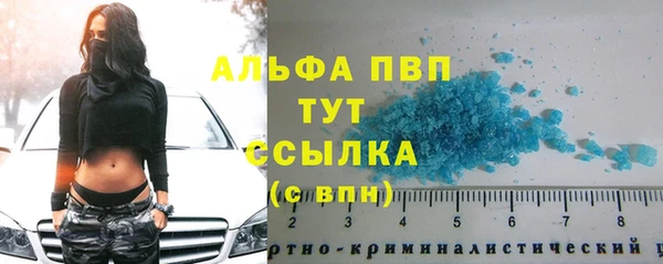 сатива Каменка