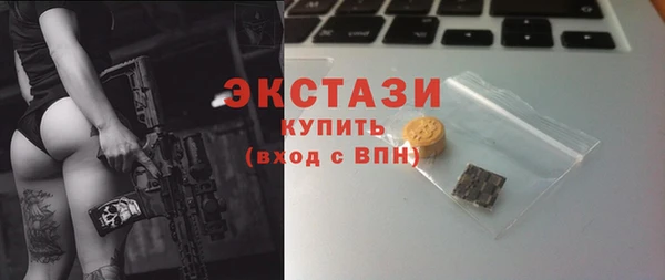 сатива Каменка