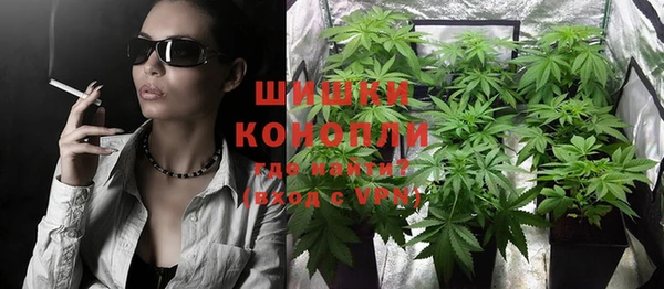сатива Каменка