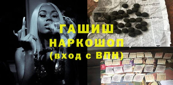 сатива Каменка