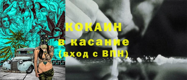 сатива Каменка