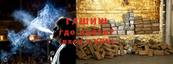 сатива Каменка