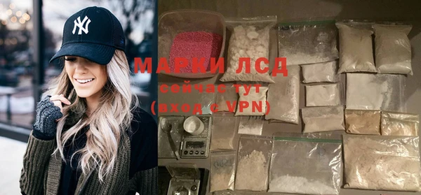 сатива Каменка