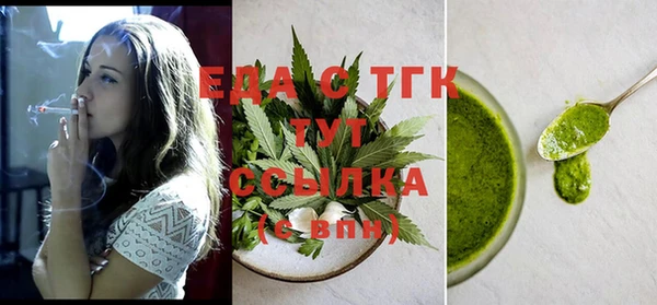 сатива Каменка