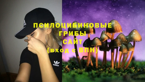 марихуана Каменногорск