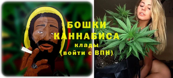 сатива Каменка