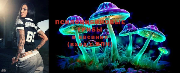сатива Каменка