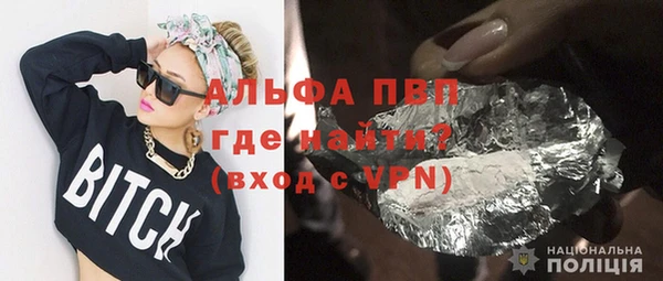 сатива Каменка