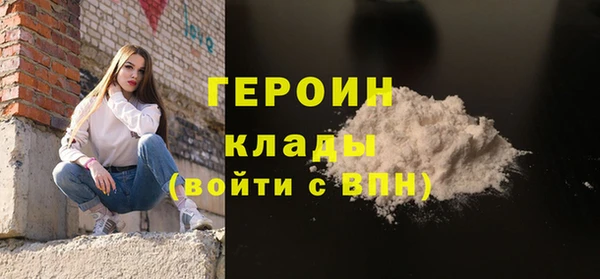сатива Каменка