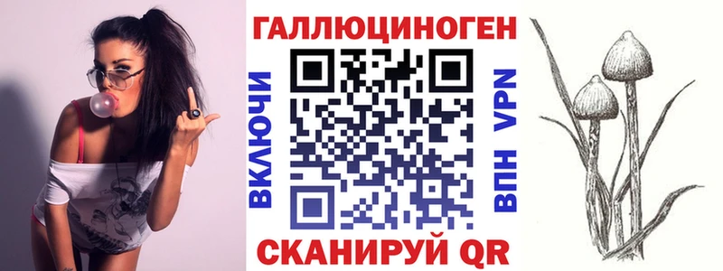 кракен вход  Кяхта  Галлюциногенные грибы MAGIC MUSHROOMS 