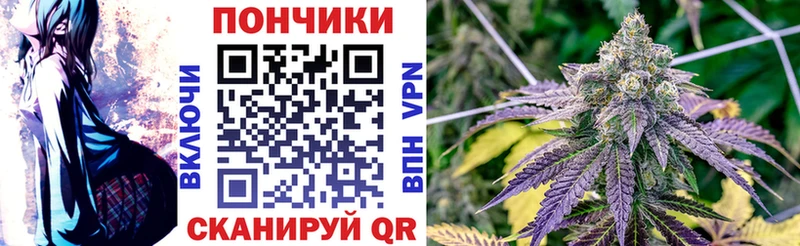 Шишки марихуана White Widow  Кяхта 